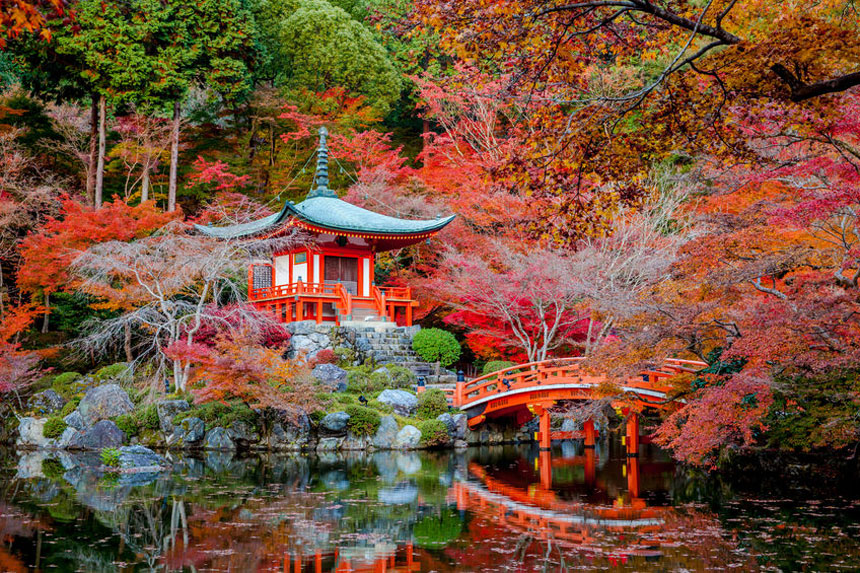 THE 28 BEST THINGS TO DO IN TOKYO visual data 4
