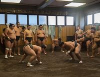sumo-wrestling-tokyo
