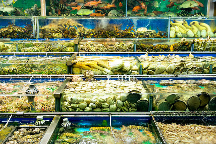 Seafood Dishes Must try food in Hong Kong Travelvui