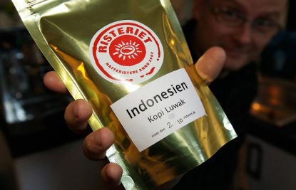 Kopi-Luwak-indonesia