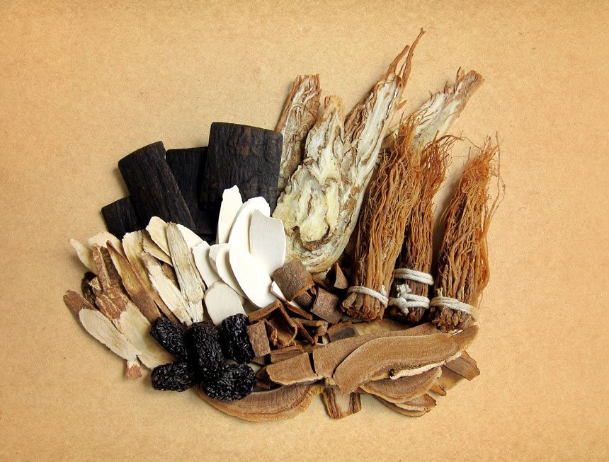 Traditional Chinese Medicines and Herbs