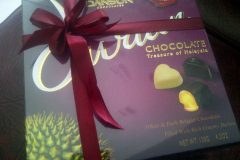 Durian Chocolate