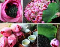 lotus-tea-hanoi