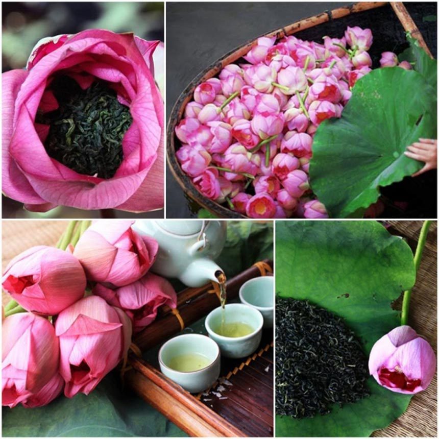 Lotus Tea